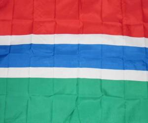 пазл Флаг Гамбии